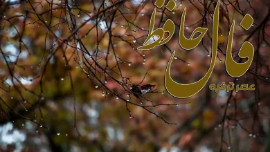 فال حافظ 25 آبان 1404