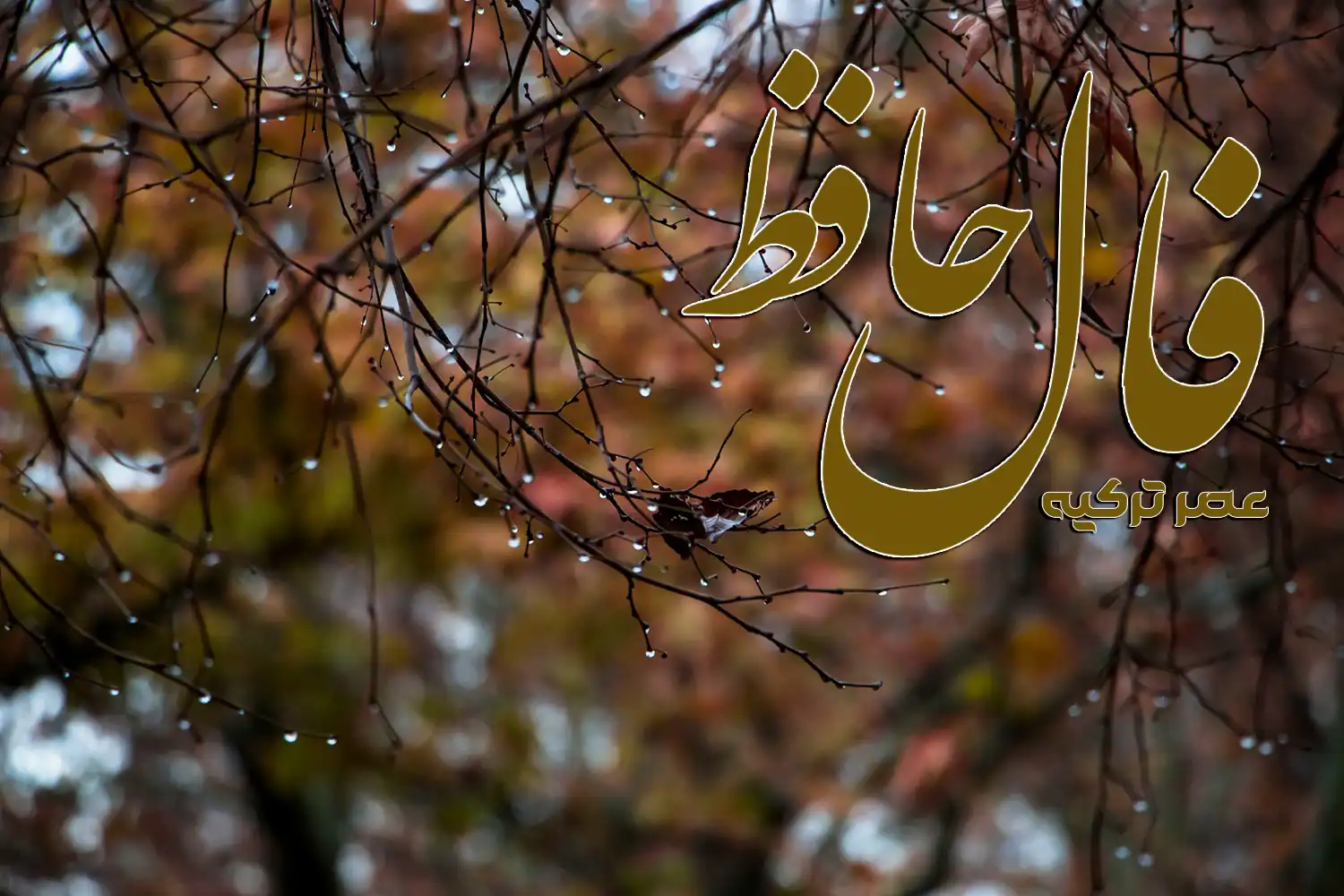 فال حافظ 25 آبان 1404