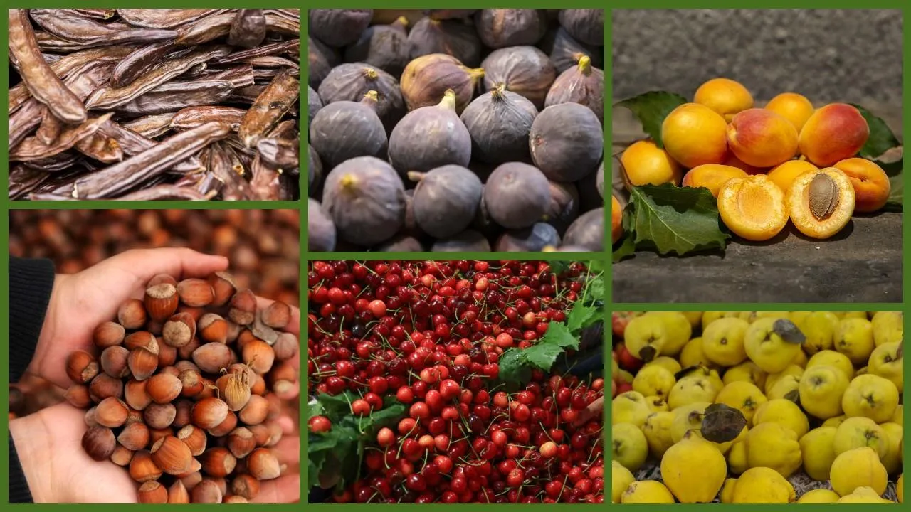 ترکیه در تواید 22 محصول کشاورزی جزو سه کشور اول جهان است