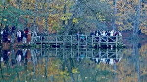 پارک ملی یدی گللر