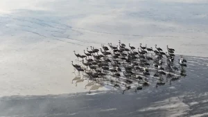 su seviyesi yukselen tuzla palas