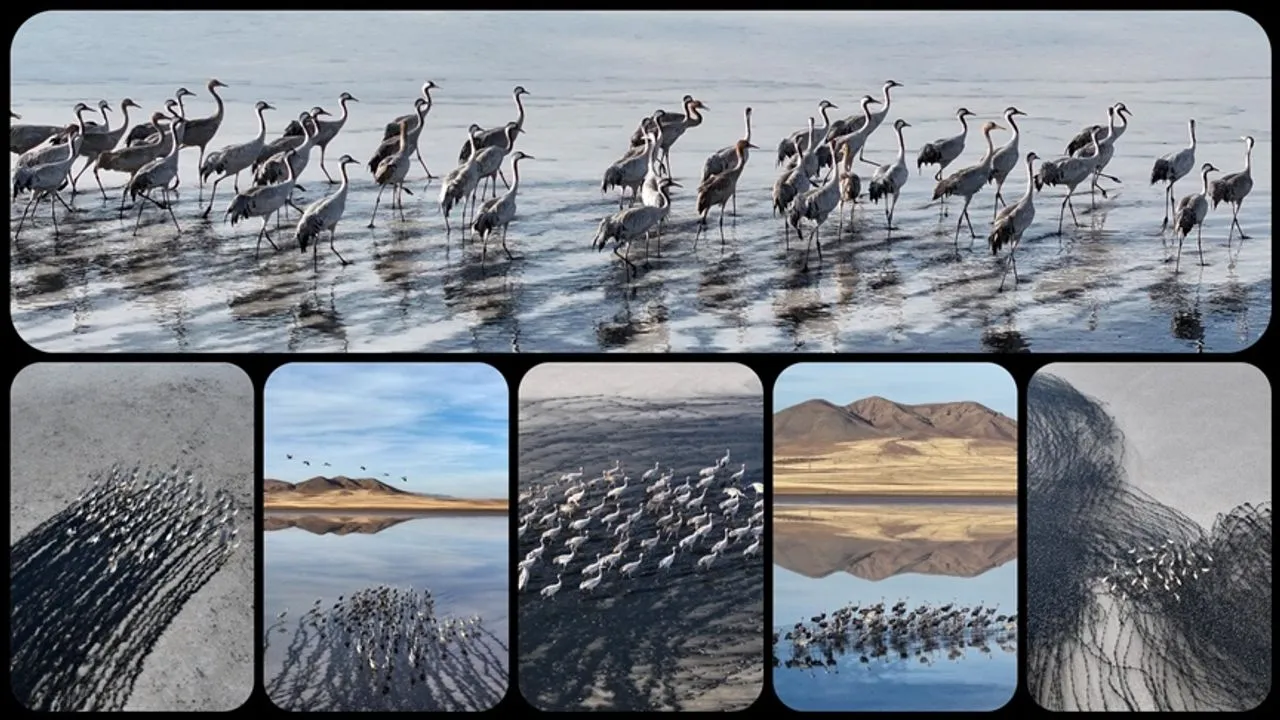 thumbs b c 6f9ac7d0f9ab52be54f8e