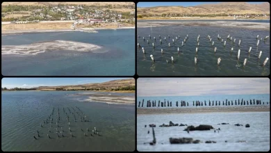 خشکسالی و تبخیر شدید در دریاچه وان