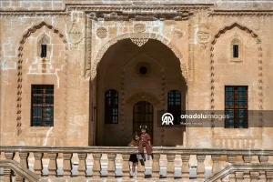 thumbs b2 6767c44829d4f1d8734b4d