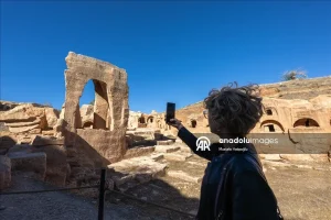 thumbs b2 a2664d7c014b37ba8cf2fd