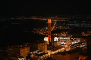 thumbs b2 b7cfc520a08d63e60856b8