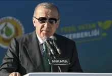 مساحت جنگل‌ها