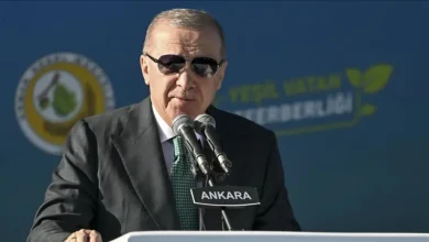 مساحت جنگل‌ها