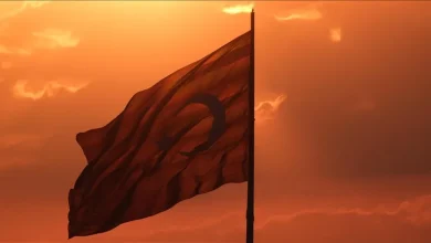 ترکیه برای میزبانی COP31 و دیپلماسی جهانی اقلیم آماده می‌شود