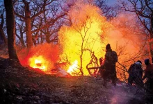 آخرین جزئیات از آتش‌سوزی جنگل‌های الیت