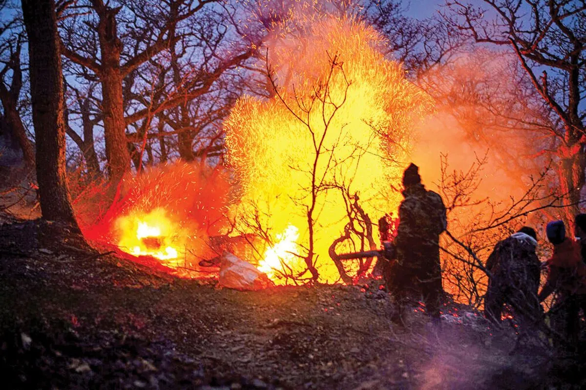 آخرین جزئیات از آتش‌سوزی جنگل‌های الیت