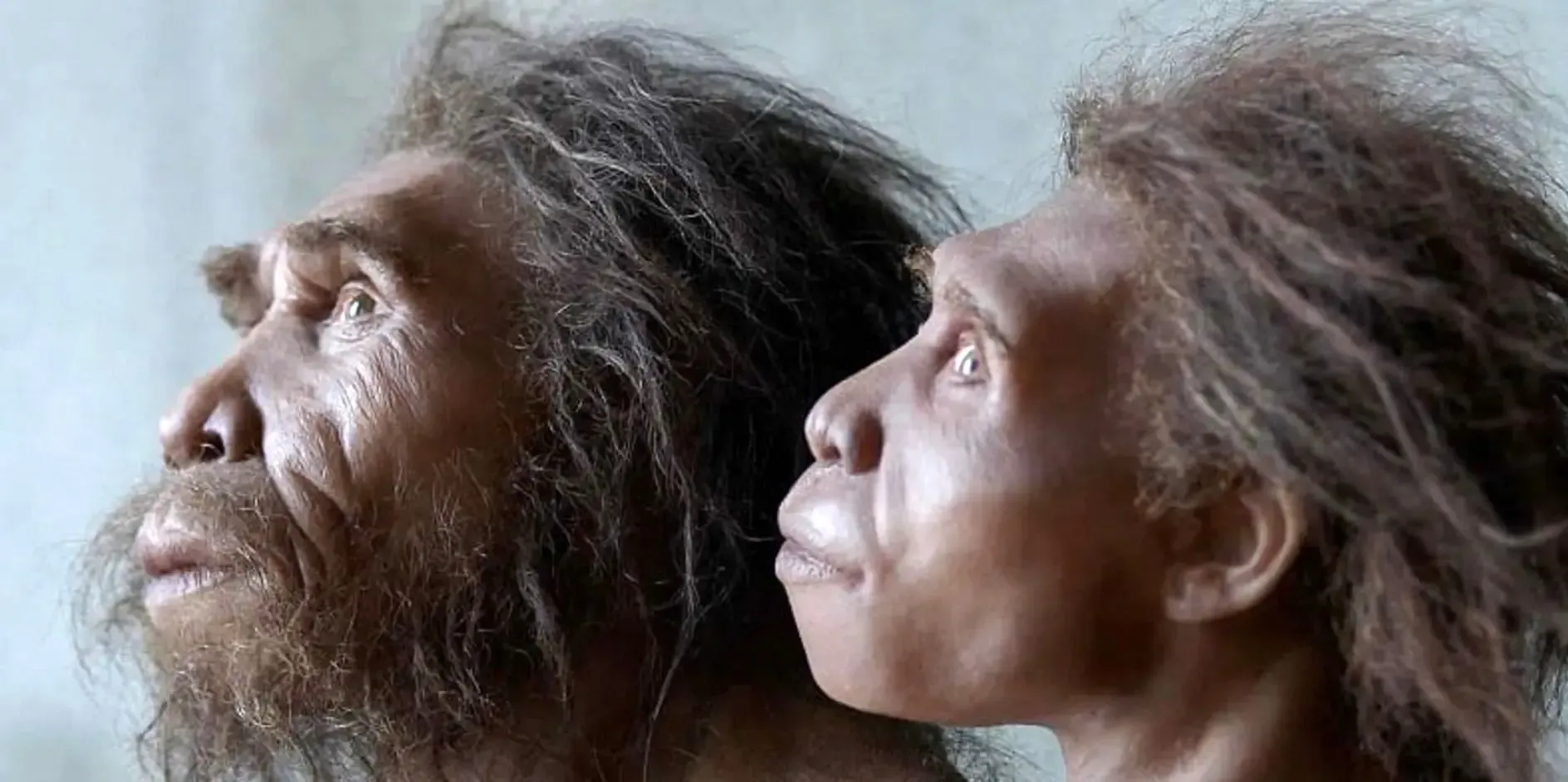 آیا نئاندرتال‌ها دیندار بودند؟