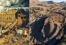 آیا کشتی پیدا شده در کوه های ترکیه همان کشتی نوح است؟2