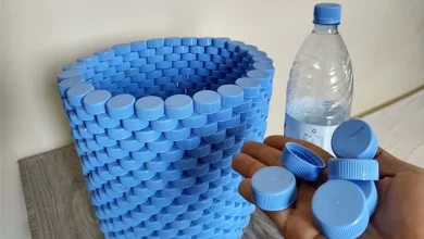 از در بطری چه استفاده هایی می شود؟