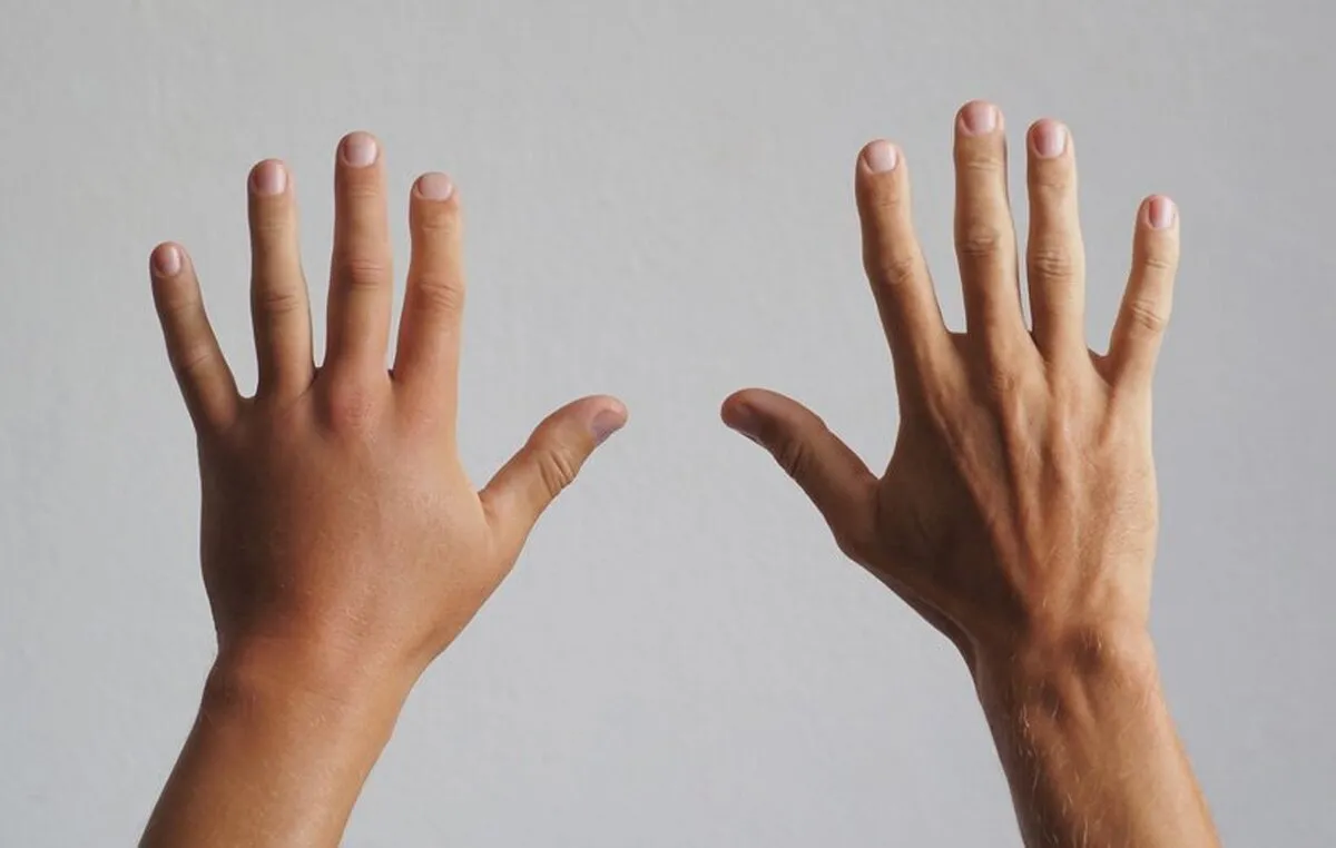 از چه زمانی چپ دست یا راست دست بودن ما تعیین می شود؟