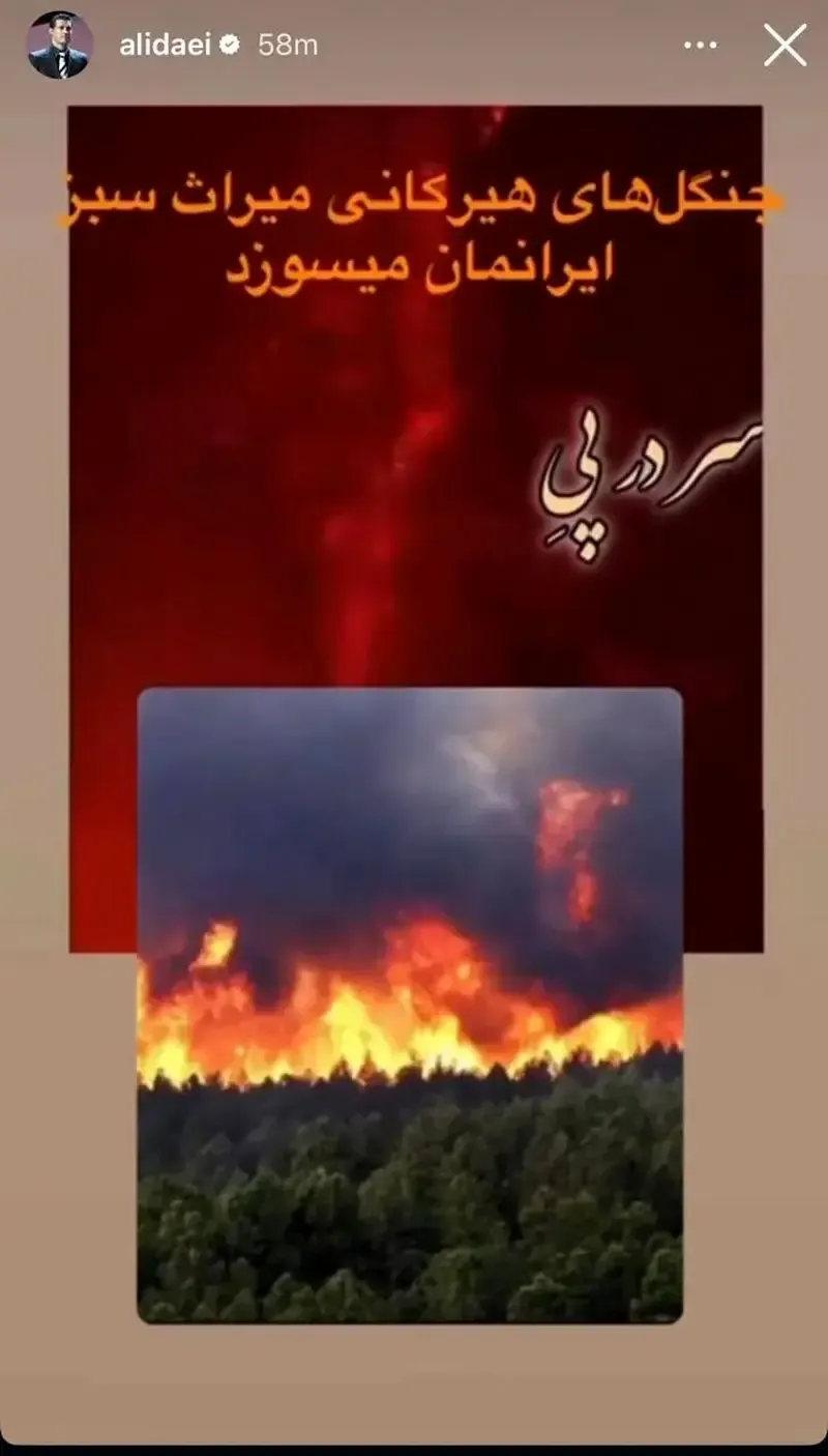 استوری تلخ علی دایی درباره آتش‌سوزی جنگل‌های هیرکانی