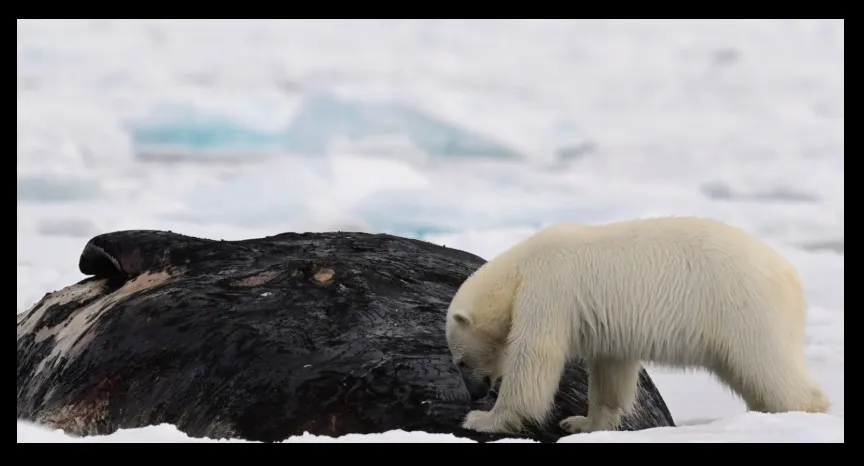 تصاویر برگزیده نشنال جئوگرافیک ۲۰۲۵1