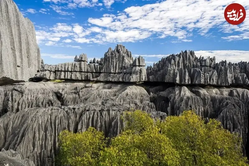 تیسینگی دِ بماراها