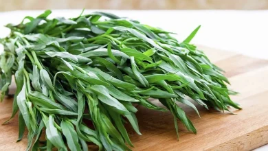 رنگ سال ۲۰۲۵