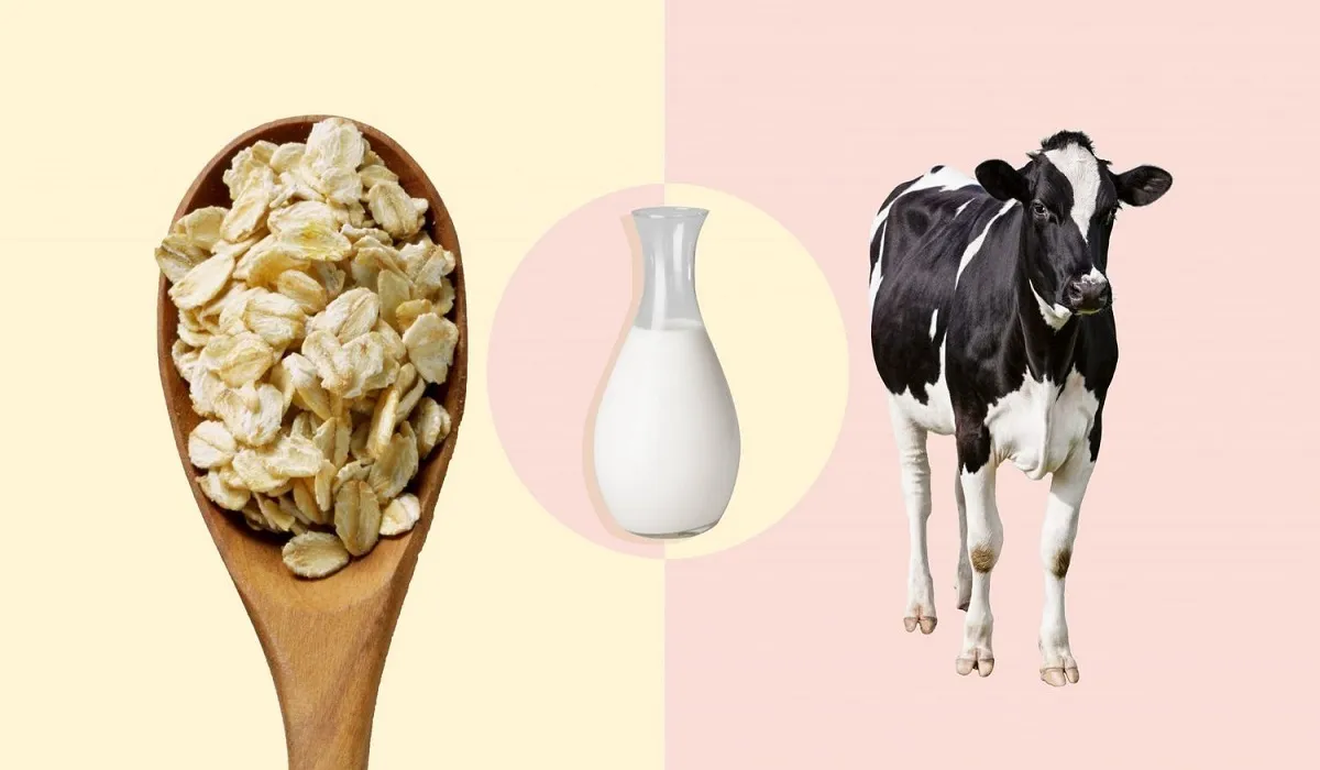 شیر جو دوسر