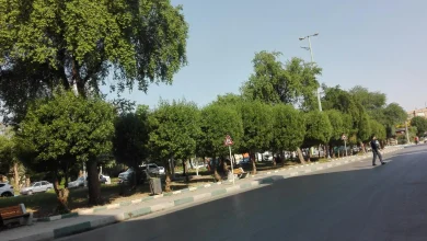 ماجرای گم شدن دو دختر در مکانی مشابه در آبادان1