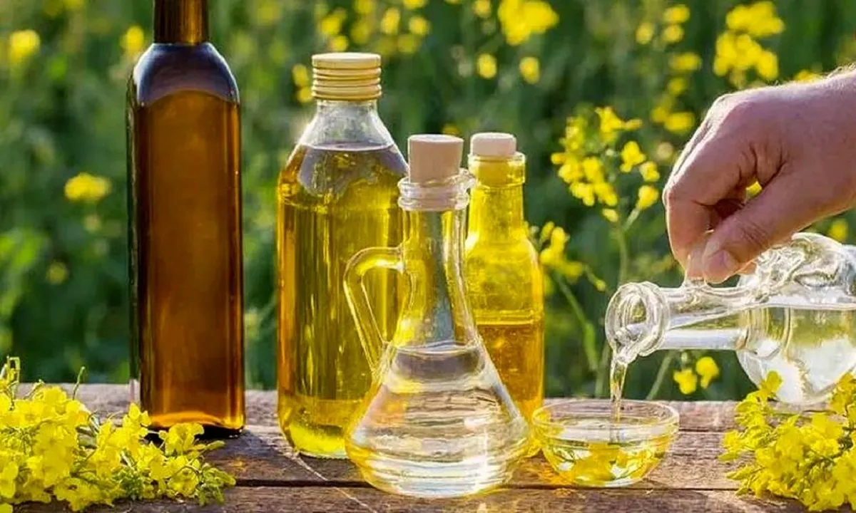 چرا روغن در سرمای زمستان یخ نمی زند؟1