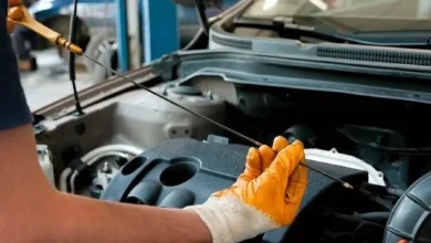 حشرات پاییزی در خانه