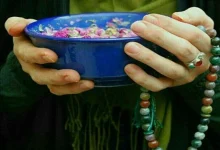 ترکیش ایرلاینز