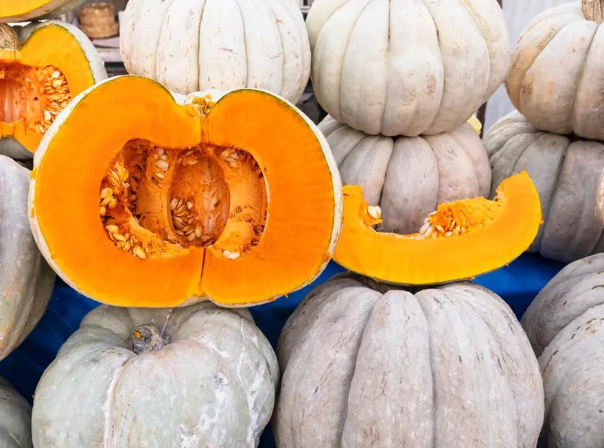 این «اَبرغذای پاییزی» فقط برای تزئین نیست! معجزه کدو حلوایی و دانههایش برای قلب و ایمنی بدن 2 کدو 1