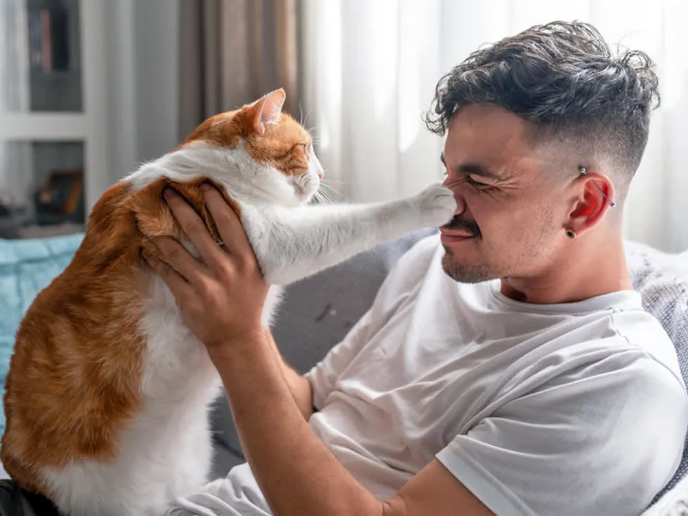 گربهها به مردان توجه بیشتری نشان میدهند 2 1 112