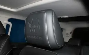 مدل قطبی تانک ۳۰۰ رونمایی شد (عکس) 5 1 117