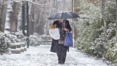 هشدار بارش برف در برخی نقاط تهران 3 1 95