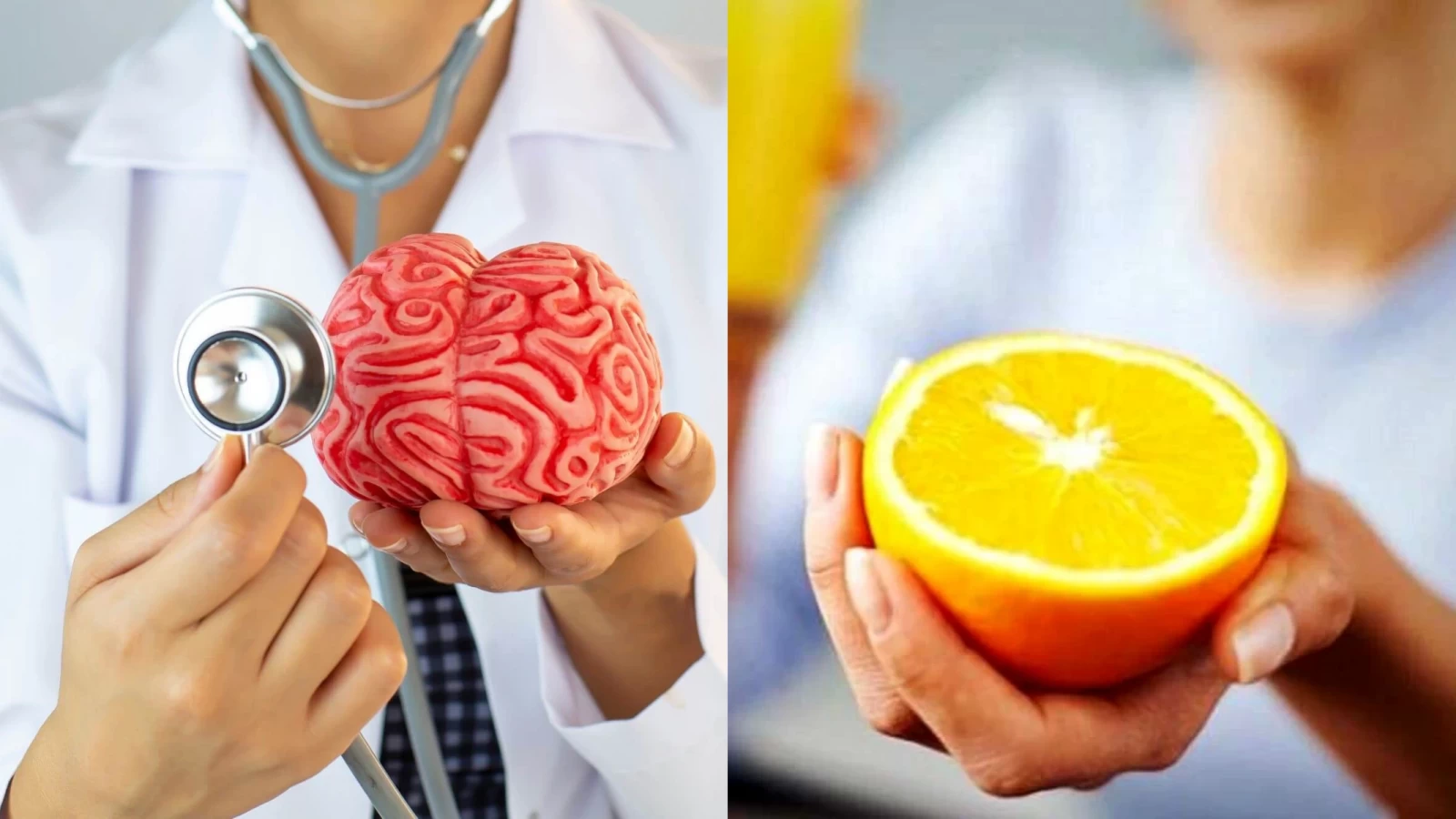 با مصرف این میوهها عملکرد مغز را تقویت کنید 1 2 120