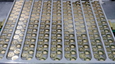 شرایط پیشفروش سکه اعلام شد 3 2 85