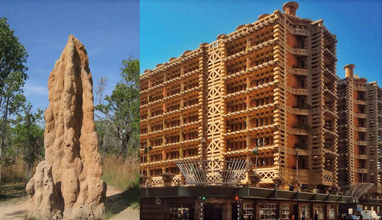 بررسی چند اختراع الهام گرفته شده از طبیعت 6 3 86