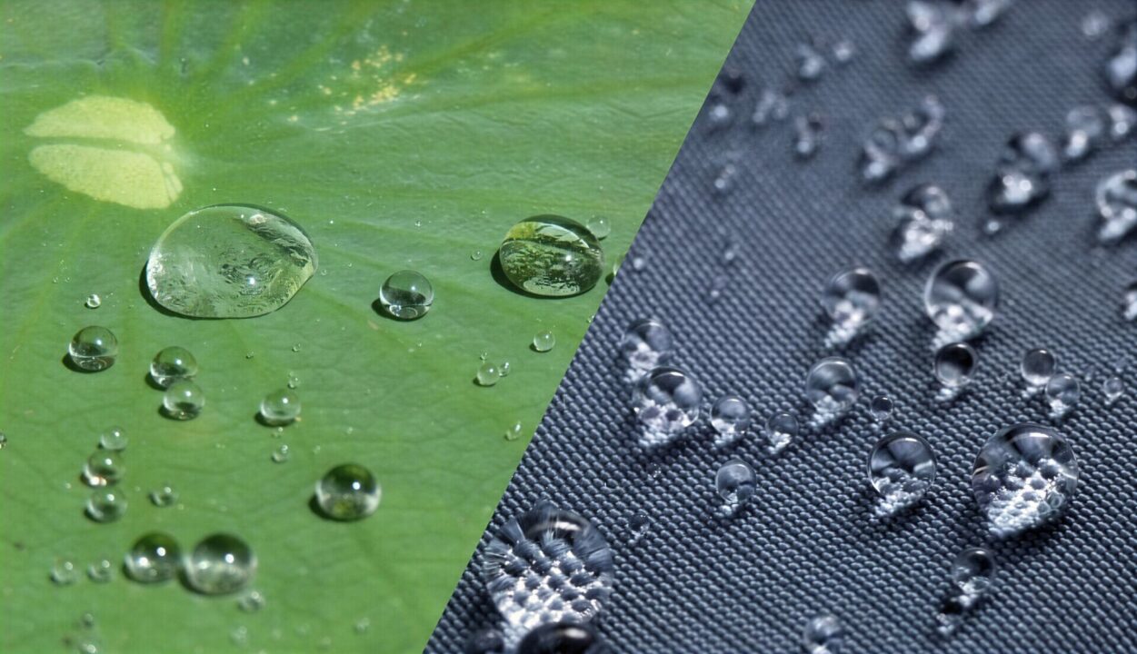 بررسی چند اختراع الهام گرفته شده از طبیعت 5 4 78