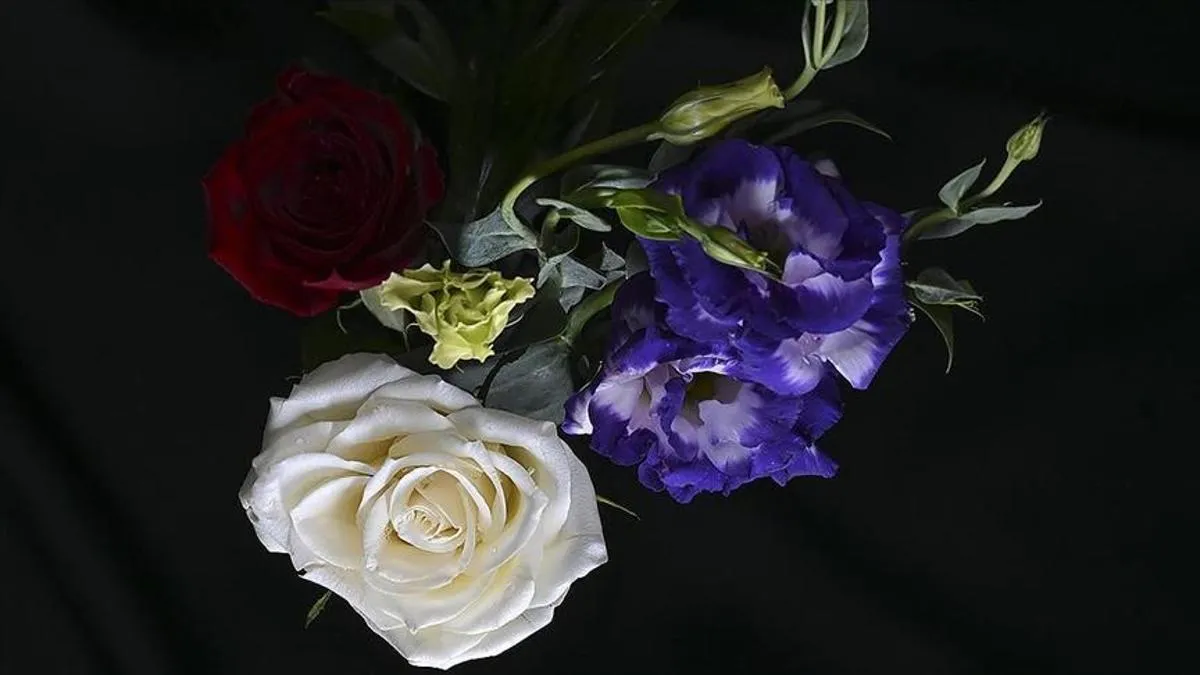 صادرات گل از ترکیه