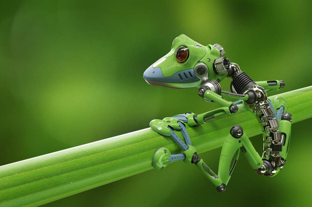 بررسی چند اختراع الهام گرفته شده از طبیعت 1 8 22