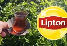 غول بریتانیایی چای تولید خود در ترکیه را متوقف کرد