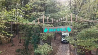 ساخت پل برای سنجاب‌ها در جنگل ترمه سامسون