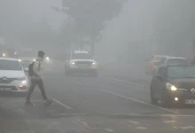 سرما و مه غلیظ در سه استان شرقی ترکیه