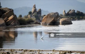 thumbs b2 98084250de3fe8d6af3c5d