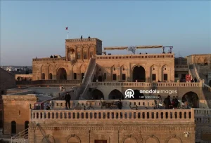 thumbs b2 ac94e879c8c6623e37e490