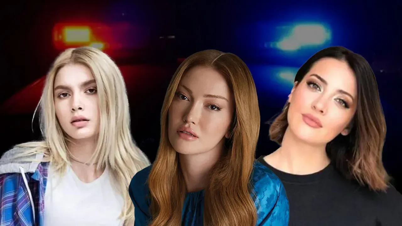 بازداشت چهرههای سرشناس هنری ترکیه