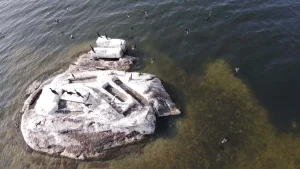 بازگشت دوباره زندگی به دریاچه بافا(عکس) 6 بازگشت دوباره زندگی به دریاچه بافا