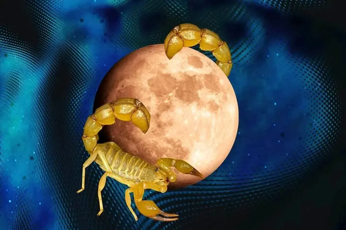 آخرین قمر در عقرب پاییز و آذر ۱۴۰۴ 1 آخرین قمر در عقرب پاییز و آذر ۱۴۰۴