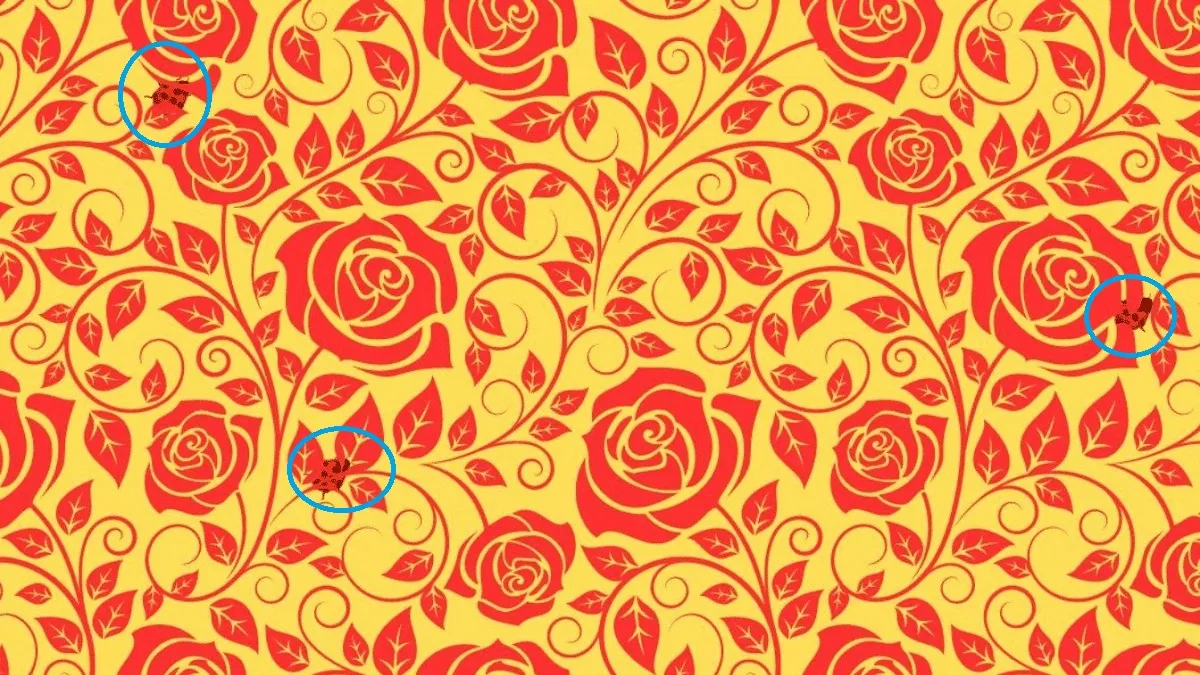 تست بینایی ۳ کفشدوزک را در میان گل‌ها پیدا کنید