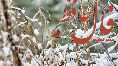 فال حافظ امروز