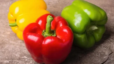 فلفل دلمه ای نر و ماده چه تفاوتی دارند؟