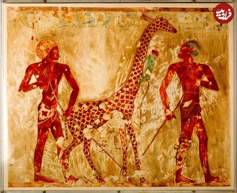 مقبرۀ 3500 سالۀ مربوط به مصر باستان که نماد «حیات وحش آفریقا» است (+عکس) 2 مقبرۀ 3500 سالۀ مربوط به مصر باستان که نماد حیات وحش آفریقا است